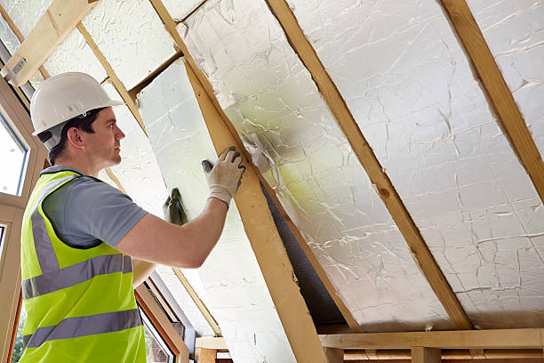 Best Geographic-Specific Insulation Services in Decatur, AR