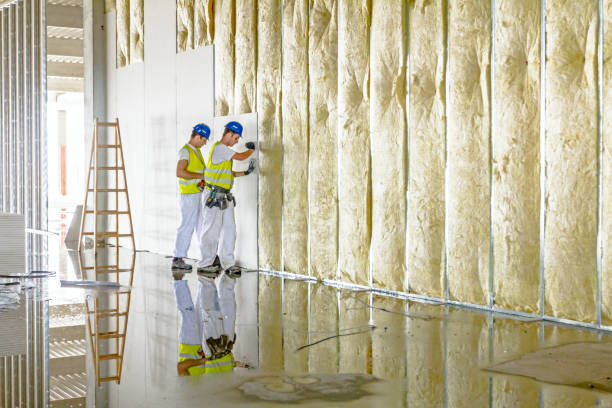 Best Residential Insulation in Decatur, AR